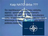 NATO aljansas 14 puslapis