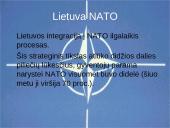 NATO aljansas 17 puslapis
