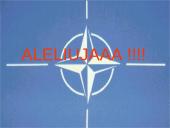 NATO aljansas 20 puslapis