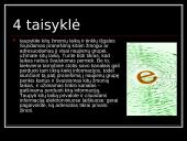 Kompiuterio etika ir etiketas 16 puslapis