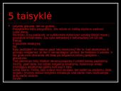 Kompiuterio etika ir etiketas 17 puslapis