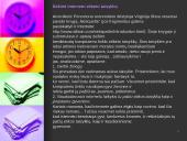 Etika naudojantis kompiuteriu 14 puslapis