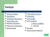 Naujausia kompiuterinė įranga: išoriniai įrenginiai 2 puslapis
