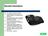 Naujausia kompiuterinė įranga: išoriniai įrenginiai 7 puslapis