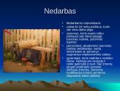 Nedarbo būklės Lietuvoje tendencijos 4 puslapis