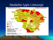 Nedarbo būklės Lietuvoje tendencijos 6 puslapis