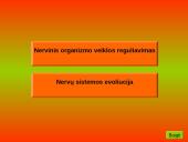 Nervinis organizmo veiklos reguliavimas. Nervų sistemos evoliucija 2 puslapis