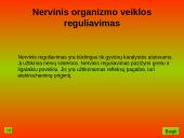 Nervinis organizmo veiklos reguliavimas. Nervų sistemos evoliucija 4 puslapis