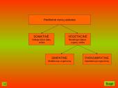 Nervinis organizmo veiklos reguliavimas. Nervų sistemos evoliucija 8 puslapis