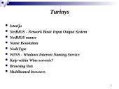 NetBIOS sistema 2 puslapis