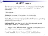 NetBIOS sistema 11 puslapis