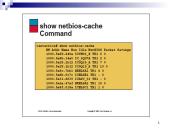 NetBIOS sistema 19 puslapis