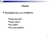 NetBIOS sistema 3 puslapis