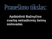 Netradicinės šeimos sielovada. Postmoderni šeima 2 puslapis