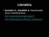 Netradicinės šeimos sielovada. Postmoderni šeima 17 puslapis