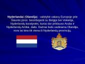 Nyderlandai ir Europos integracija 2 puslapis
