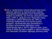 Nyderlandai ir Europos integracija 7 puslapis