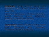 Nykstančios rūšys 11 puslapis