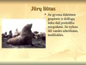 Nykstantys gyvūnai 15 puslapis