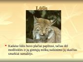 Nykstantys gyvūnai 5 puslapis