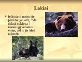 Nykstantys gyvūnai 9 puslapis