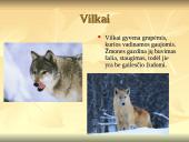 Nykstantys gyvūnai 10 puslapis