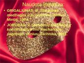 Normalusis betonas 19 puslapis