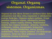 Žmogaus raida nuo ląstelės iki organizmo 15 puslapis