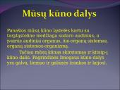 Žmogaus raida nuo ląstelės iki organizmo 17 puslapis