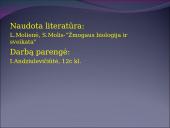 Žmogaus raida nuo ląstelės iki organizmo 19 puslapis