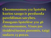 Žmogaus raida nuo ląstelės iki organizmo 5 puslapis