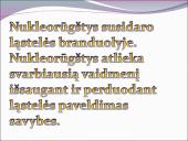 Žmogaus raida nuo ląstelės iki organizmo 8 puslapis