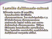 Žmogaus raida nuo ląstelės iki organizmo 10 puslapis