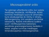 Nutekamųjų vandenų valymas ir valymo būdai 7 puslapis