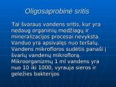 Nutekamųjų vandenų valymas ir valymo būdai 8 puslapis