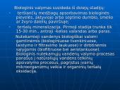 Nutekamųjų vandenų valymas ir valymo būdai 10 puslapis