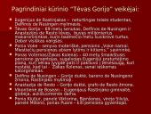 Realizmas ir O. de Balzako "Tėvas Gorijo" 13 puslapis