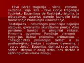 Realizmas ir O. de Balzako "Tėvas Gorijo" 8 puslapis