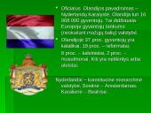 Olandų šeima 2 puslapis