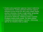 Olandų šeima 11 puslapis