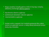 Olandų šeima 12 puslapis