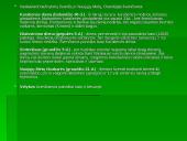 Olandų šeima 19 puslapis