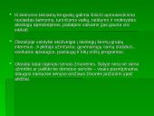 Olandų šeima 4 puslapis