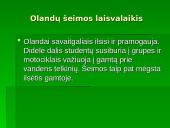 Olandų šeima 6 puslapis