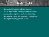 Oligopolinės ir monopolinės konkurencijos rinkos 2 puslapis