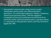 Oligopolinės ir monopolinės konkurencijos rinkos 12 puslapis