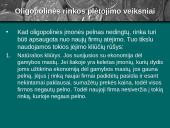 Oligopolinės ir monopolinės konkurencijos rinkos 5 puslapis