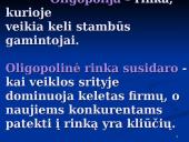 Oligopolinės kainos nustatymas 3 puslapis