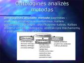Ontologijos ir ontologijos sistemos 13 puslapis