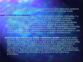 Ontologijos ir ontologijos sistemos 20 puslapis